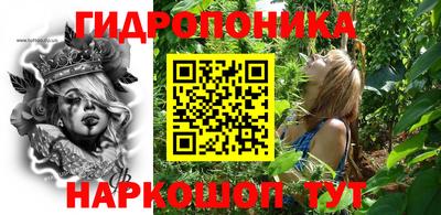 гидра Кандалакша