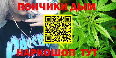 гидра Кандалакша