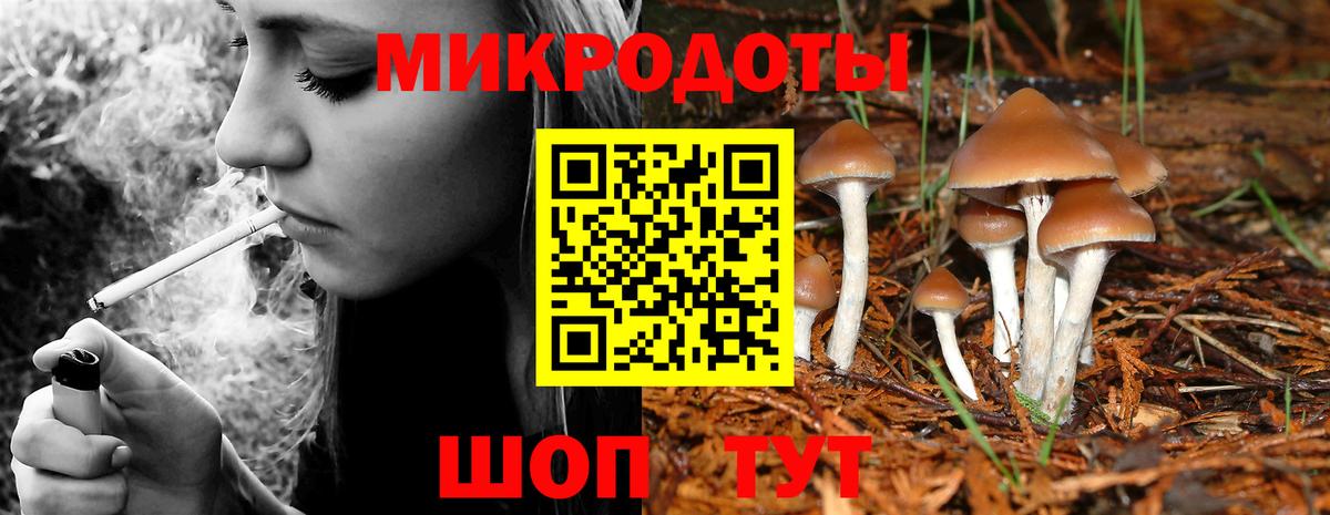 Псилоцибиновые грибы ЛСД  Вход с VPN  Дербент  Галлюциногенные грибы Psilocybe 